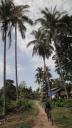Don Khon