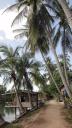 Don Khon