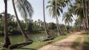Don Khon
