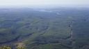 Blyde Rivier Canyon - Forest View