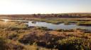 Marloth Park