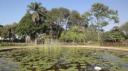 Durban - Botanische Tuinen