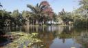 Durban - Botanische Tuinen