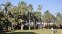 Durban - Botanische Tuinen