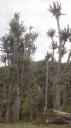Wild Coast - Coffee Bay