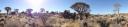 Keetmanshoop - Kokerboombos panoramashot