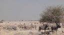 Etosha Nationaal Park - Okaukuejo Rustkamp