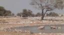 Etosha Nationaal Park - Okaukuejo Rustkamp