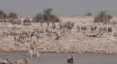 Etosha Nationaal Park - Okaukuejo Rustkamp