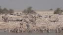 Etosha Nationaal Park - Okaukuejo Rustkamp