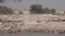 Etosha Nationaal Park - Okaukuejo Rustkamp
