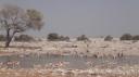 Etosha Nationaal Park - Okaukuejo Rustkamp