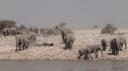 Etosha Nationaal Park - Okaukuejo Rustkamp