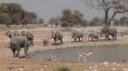 Etosha Nationaal Park - Okaukuejo Rustkamp