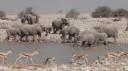 Etosha Nationaal Park - Okaukuejo Rustkamp