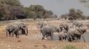 Etosha Nationaal Park - Okaukuejo Rustkamp