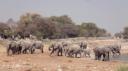 Etosha Nationaal Park - Okaukuejo Rustkamp