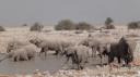 Etosha Nationaal Park - Okaukuejo Rustkamp
