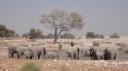 Etosha Nationaal Park - Okaukuejo Rustkamp