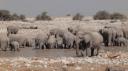 Etosha Nationaal Park - Okaukuejo Rustkamp