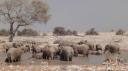 Etosha Nationaal Park - Okaukuejo Rustkamp