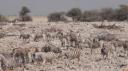 Etosha Nationaal Park - Okaukuejo Rustkamp