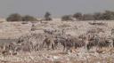 Etosha Nationaal Park - Okaukuejo Rustkamp