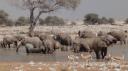Etosha Nationaal Park - Okaukuejo Rustkamp