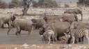 Etosha Nationaal Park - Okaukuejo Rustkamp
