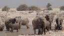 Etosha Nationaal Park - Okaukuejo Rustkamp