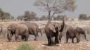 Etosha Nationaal Park - Okaukuejo Rustkamp