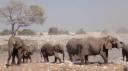 Etosha Nationaal Park - Okaukuejo Rustkamp