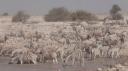 Etosha Nationaal Park - Okaukuejo Rustkamp