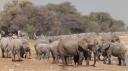Etosha Nationaal Park - Okaukuejo Rustkamp