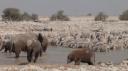Etosha Nationaal Park - Okaukuejo Rustkamp