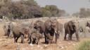 Etosha Nationaal Park - Okaukuejo Rustkamp