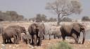 Etosha Nationaal Park - Okaukuejo Rustkamp