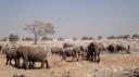 Etosha Nationaal Park - Okaukuejo Rustkamp