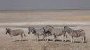 Etosha Nationaal Park