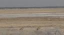 Etosha Nationaal Park