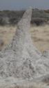 Etosha Nationaal Park
