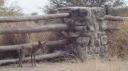 Etosha Nationaal Park - Namutoni Rustkamp