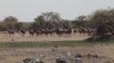 Etosha Nationaal Park - Namutoni Rustkamp