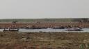 Lake Manyara Nationaal Park
