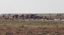 Lake Manyara Nationaal Park