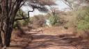 Lake Manyara Nationaal Park