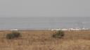 Lake Manyara Nationaal Park