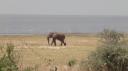 Lake Manyara Nationaal Park