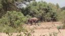 Lake Manyara Nationaal Park