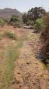 Lake Manyara Nationaal Park